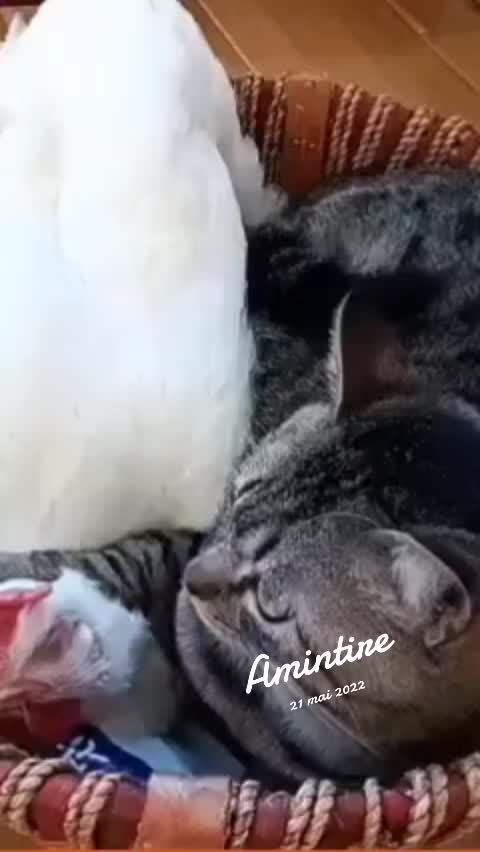 @๐ช๐ด๐๐๐๐โ๏ธ๐ฉ๐๐๐๐๐๐๐