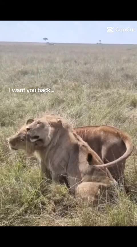 @🤷♀️💗