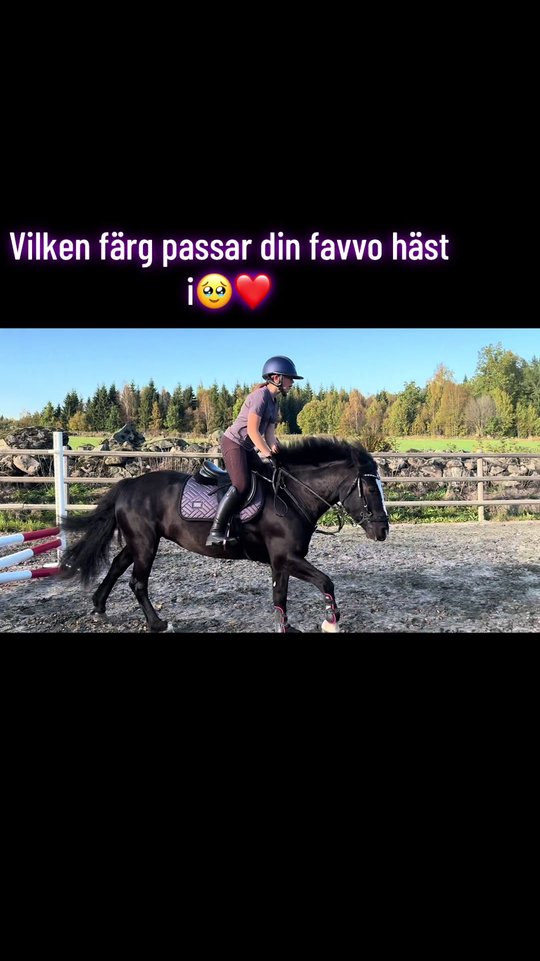 @🇸🇪🦄𝓔𝓵𝓲𝓷 𝓔𝓭𝓺𝓿𝓲𝓼𝓽