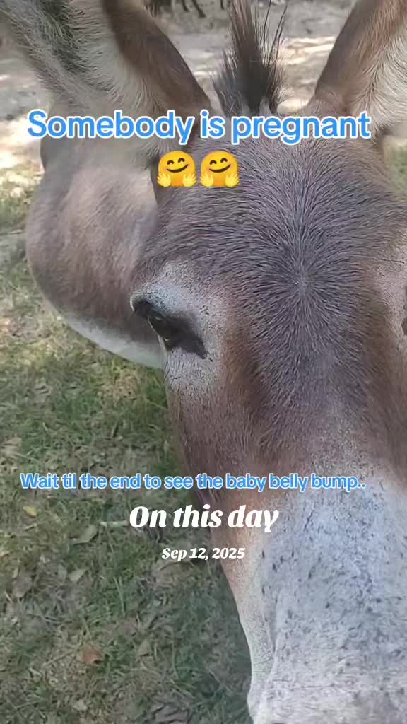 @CountryBarbie79