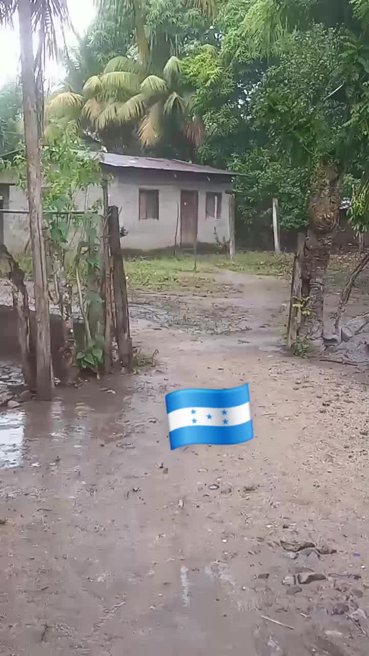 @Saida Mejia