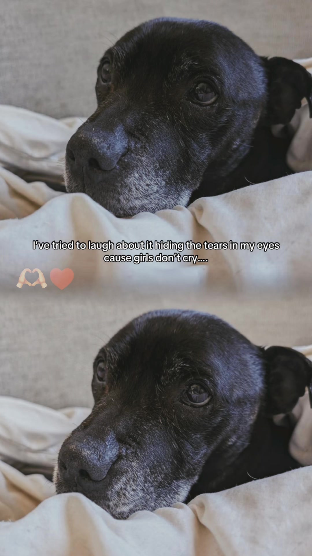 @Jessie 🐶