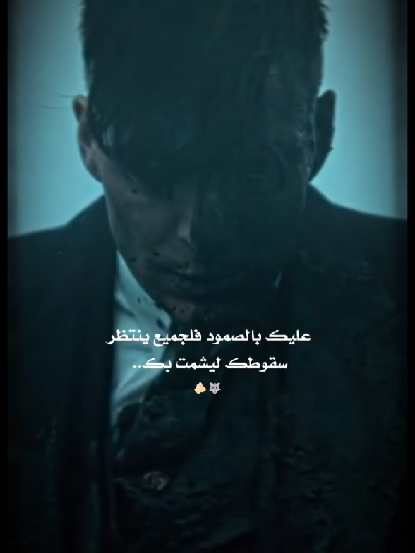 @ℳ➟