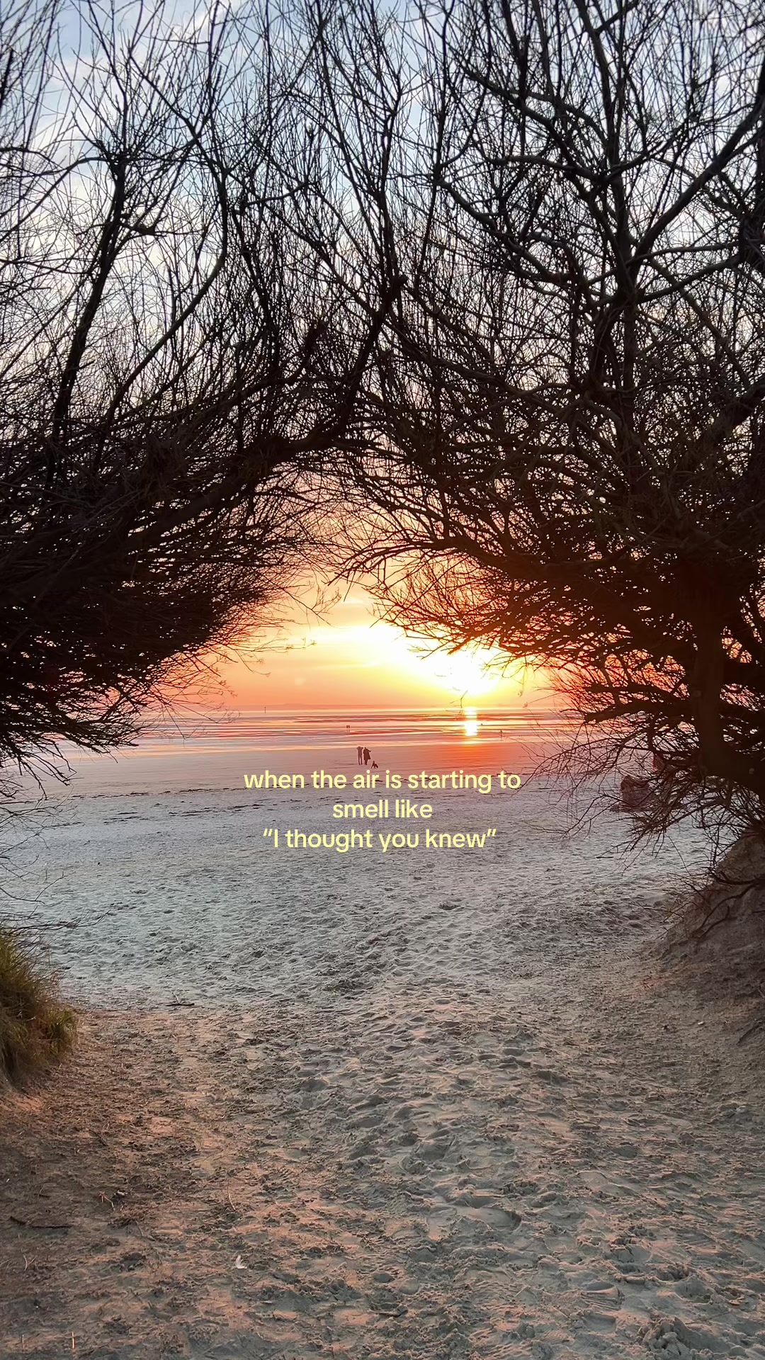 @addiesbookshelf 🧚🏼