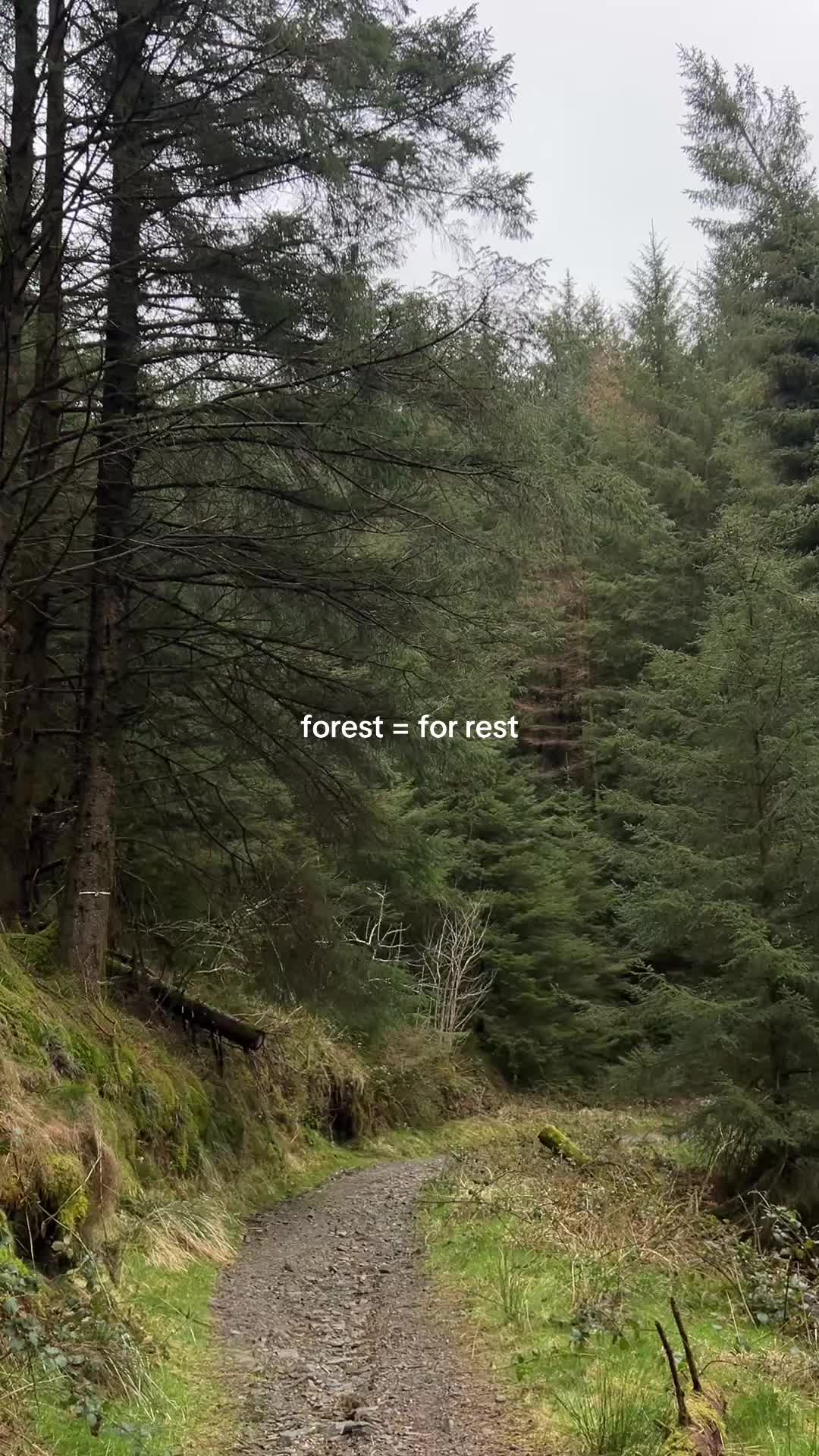 @mushroomgirrrl