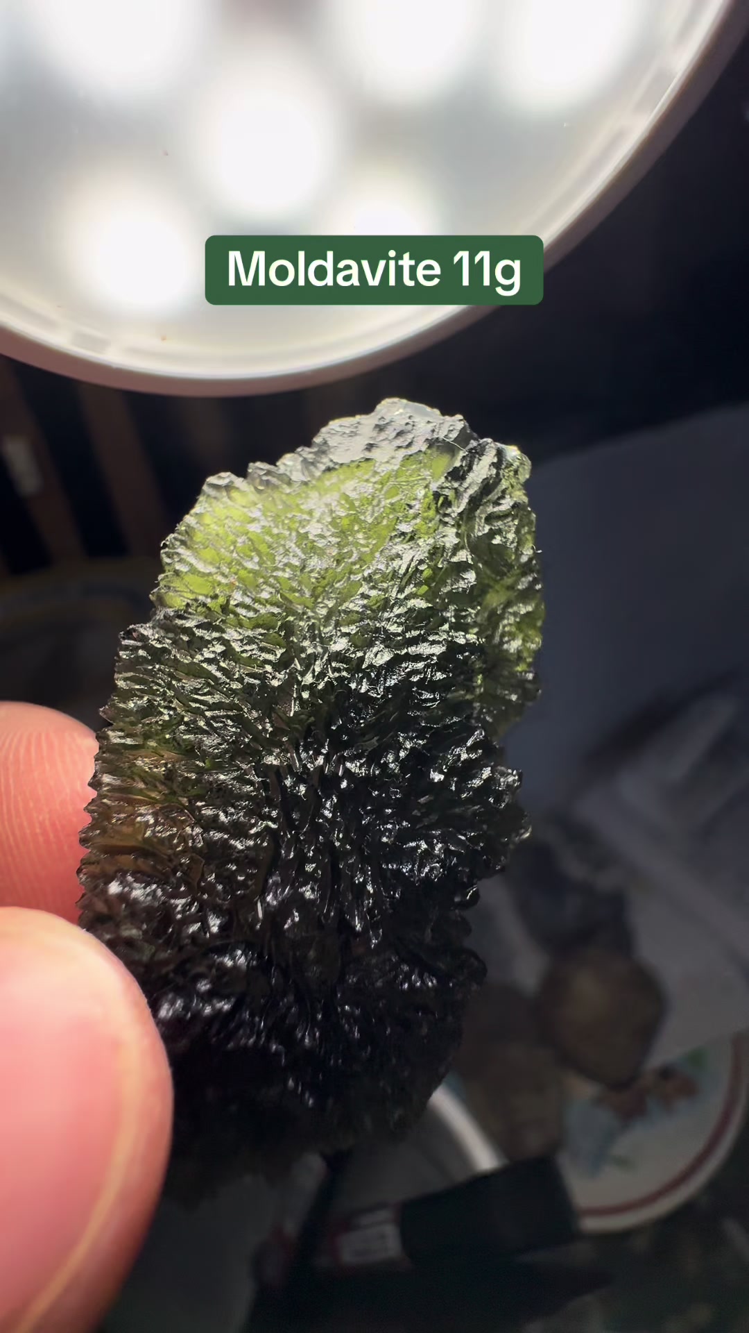 @AidansFossils.Fish.Minerals
