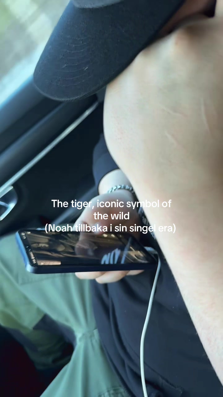 @Ebba Berggren