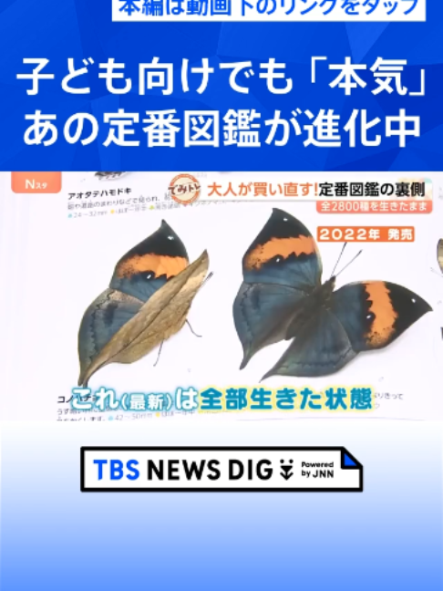 @TBS NEWS DIG Powered by JNN