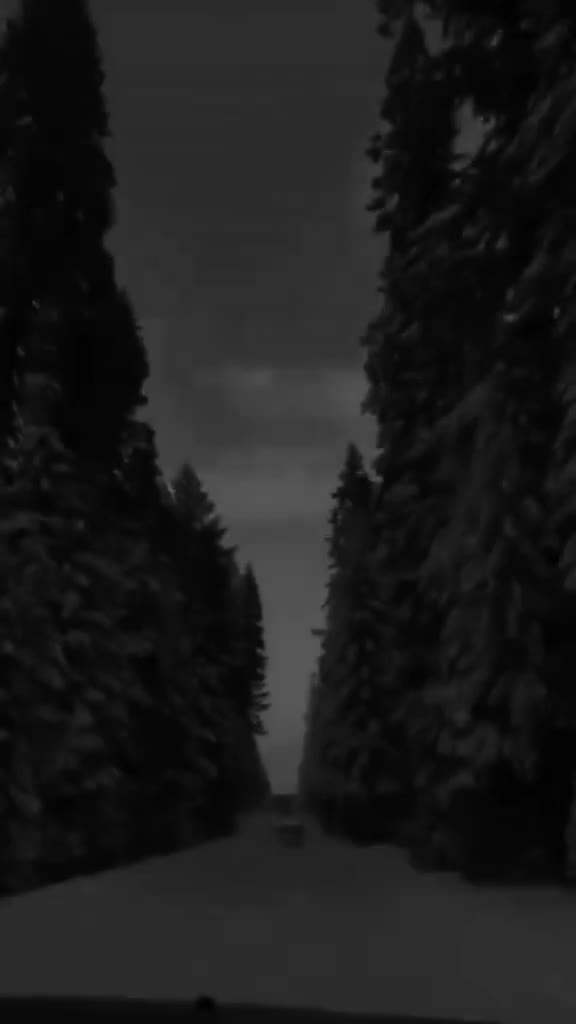 @🍃القرآن 🪴