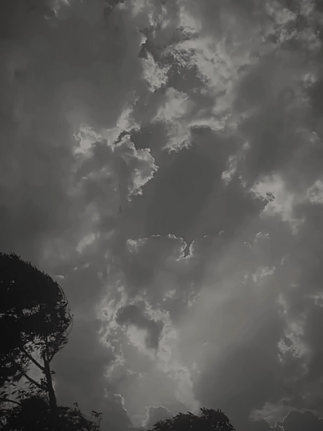 @𓆩⍣⃝𝙏𝙖𝙮𝙖𝙗 𝙎𝙞𝙗𝙩𝙖𝙞𝙣࿐