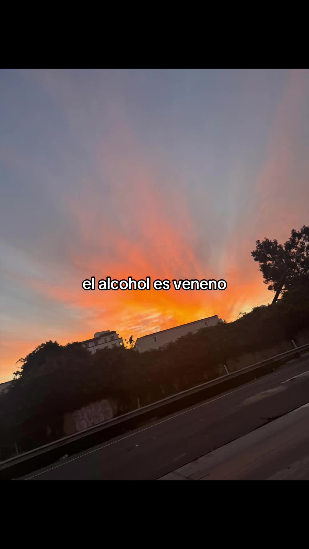 @Yulis C 🤍🕊️