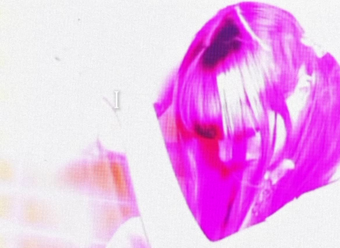 @CARA 🪲