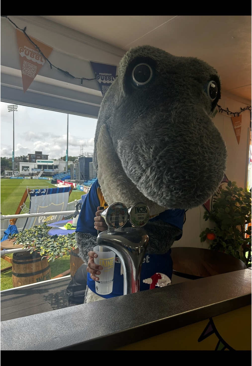 @Sussex Cricket