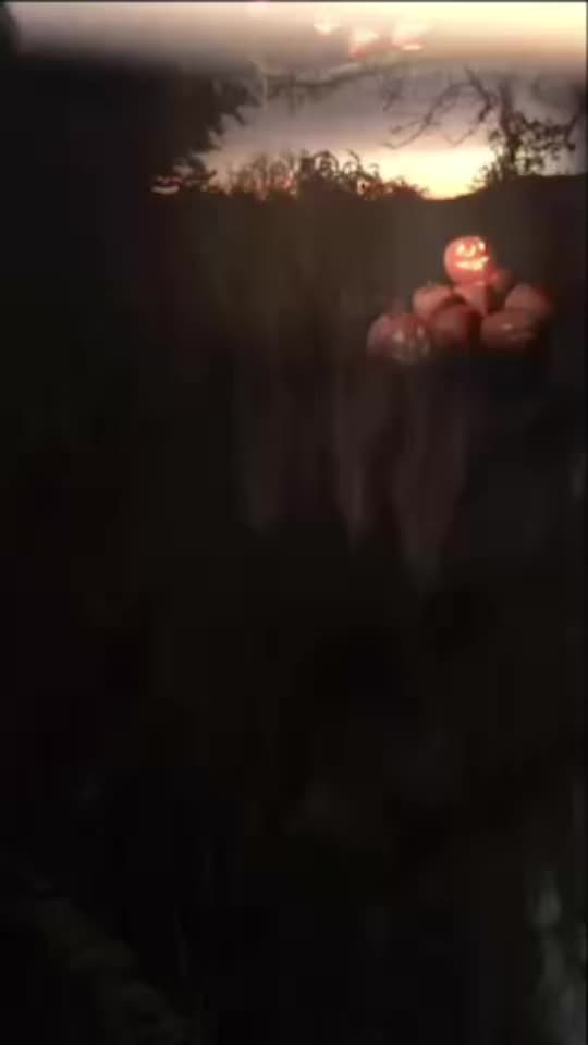 @ㅤㅤㅤㅤㅤㅤㅤ