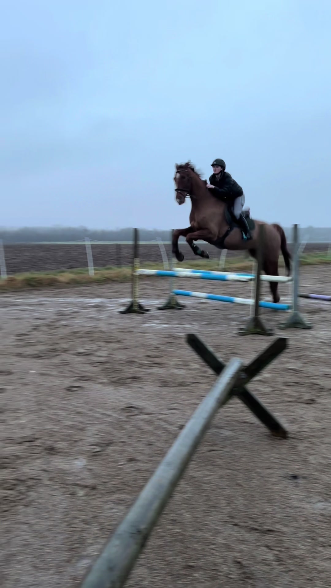 @Kv.equestrian