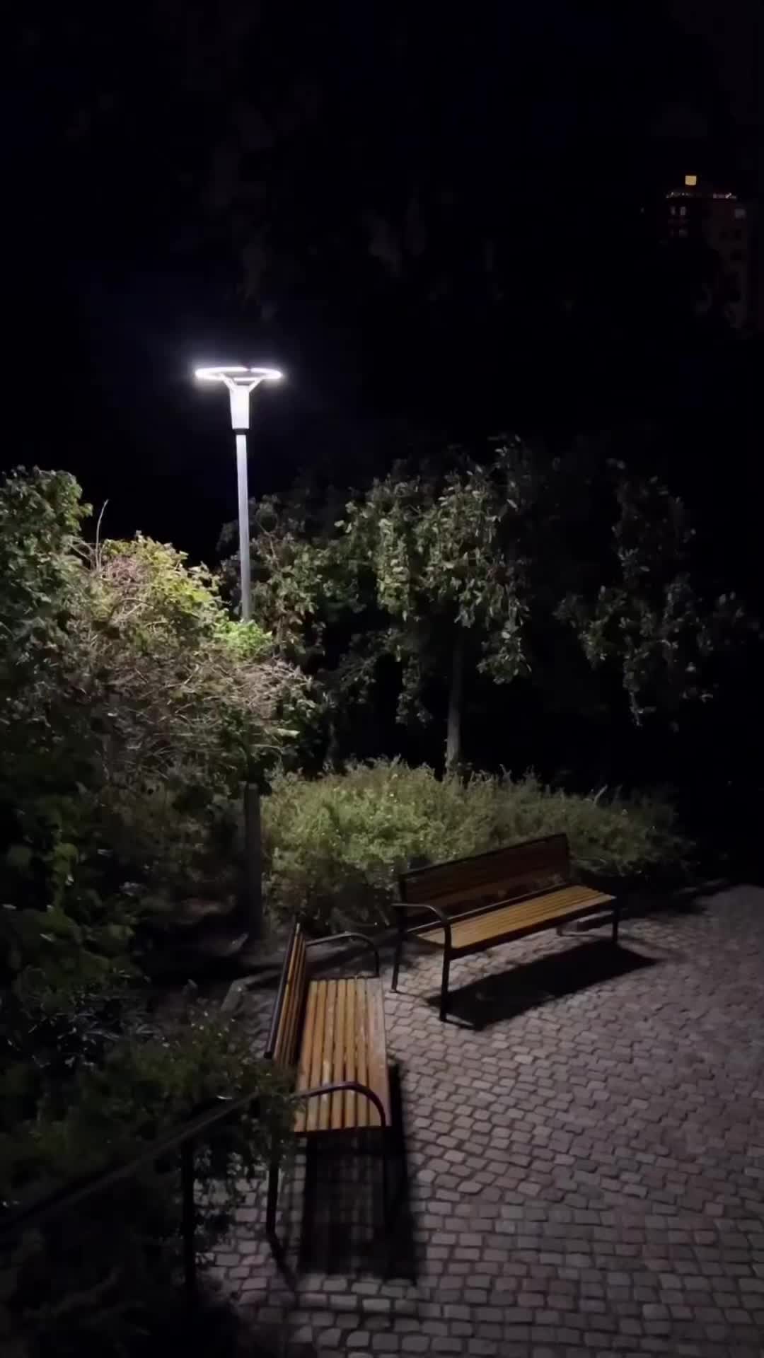@𝙀 𝙈 𝘼 𝙉 🌸•