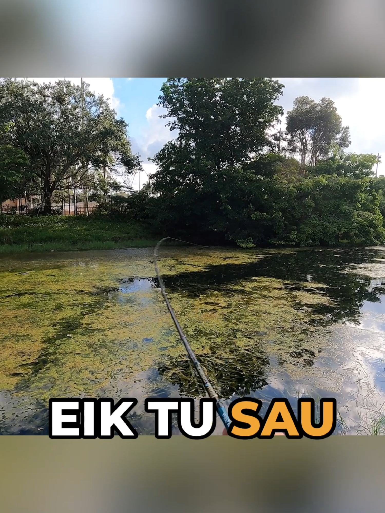 @zvejybosreikmenys.lt
