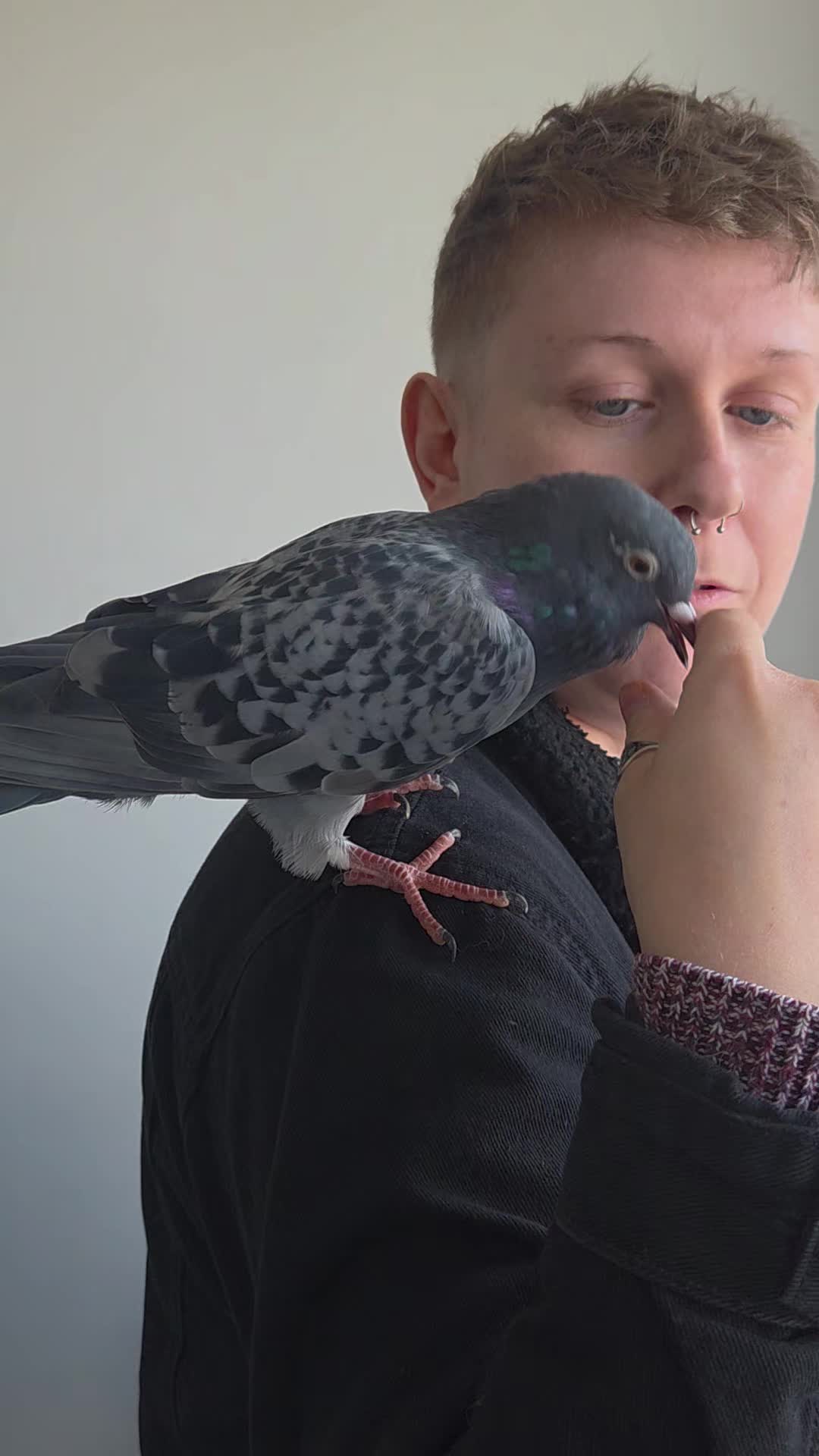 @whattheflock