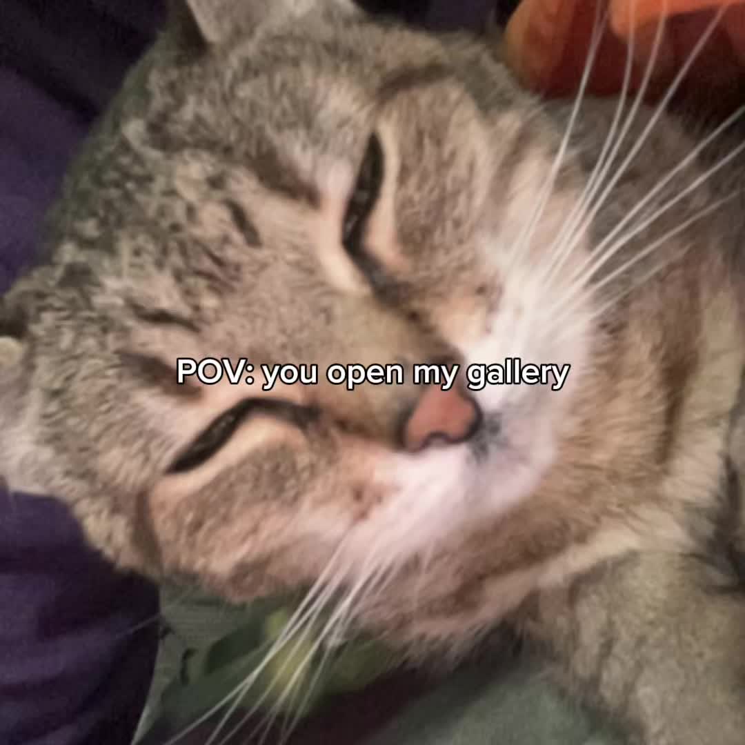 @nicola limpei