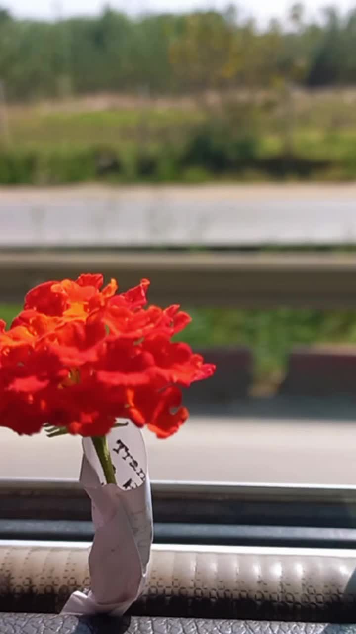 @لمسة فنانة