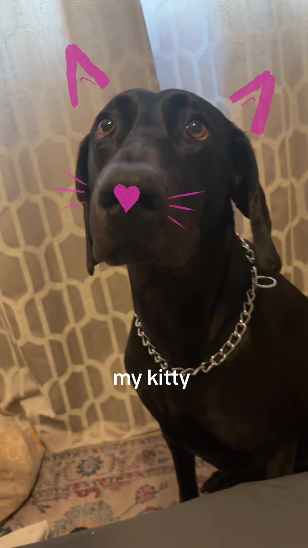 @ewinwowdon