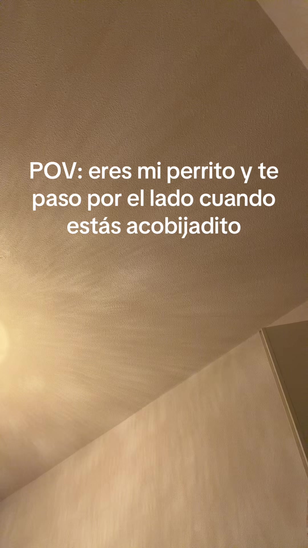 @emilybolivars