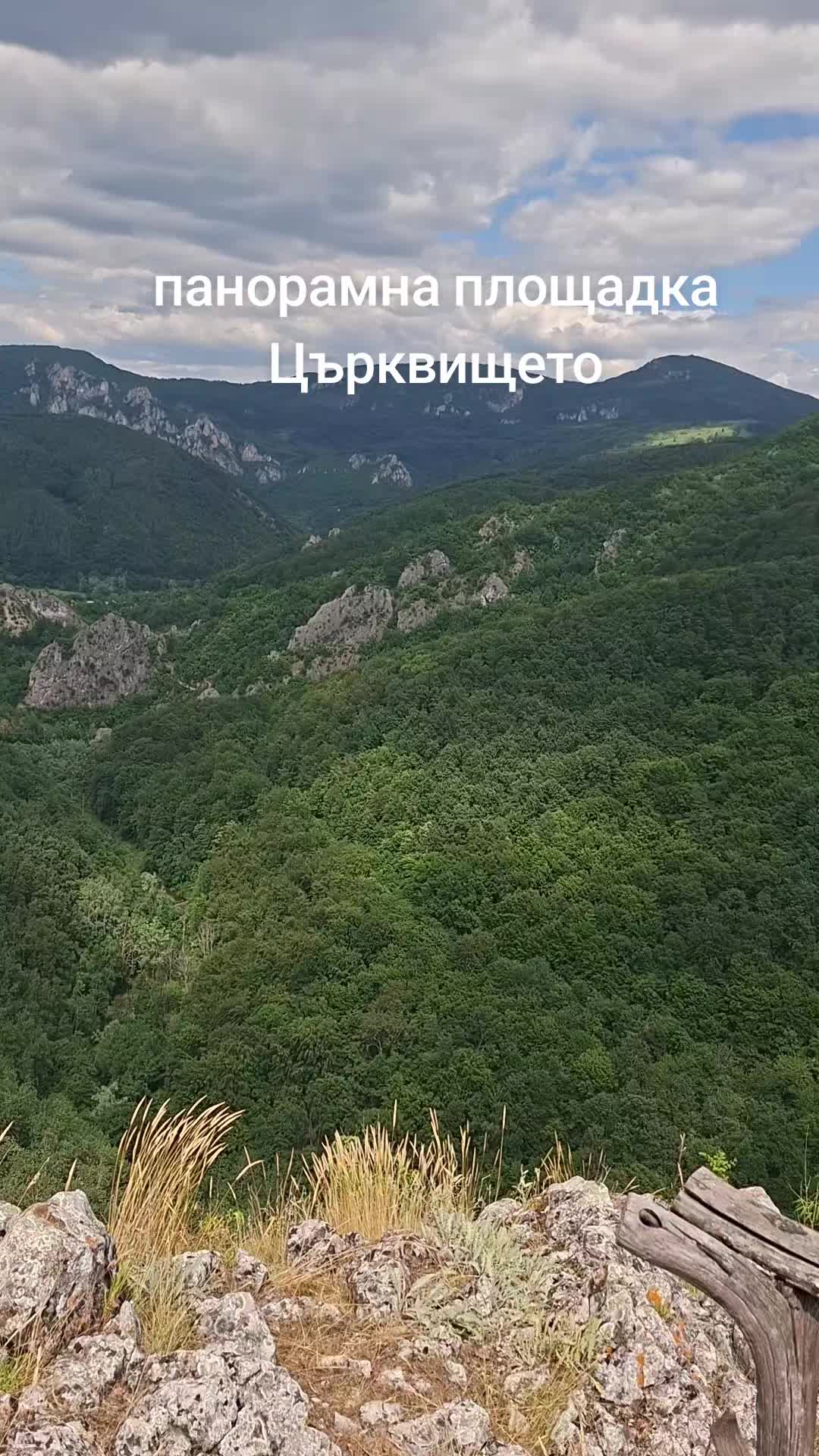 @Nedelin Bozhinov