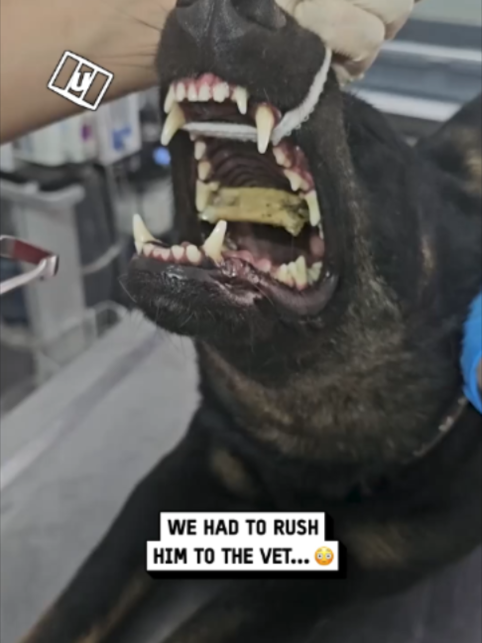@UNILAD