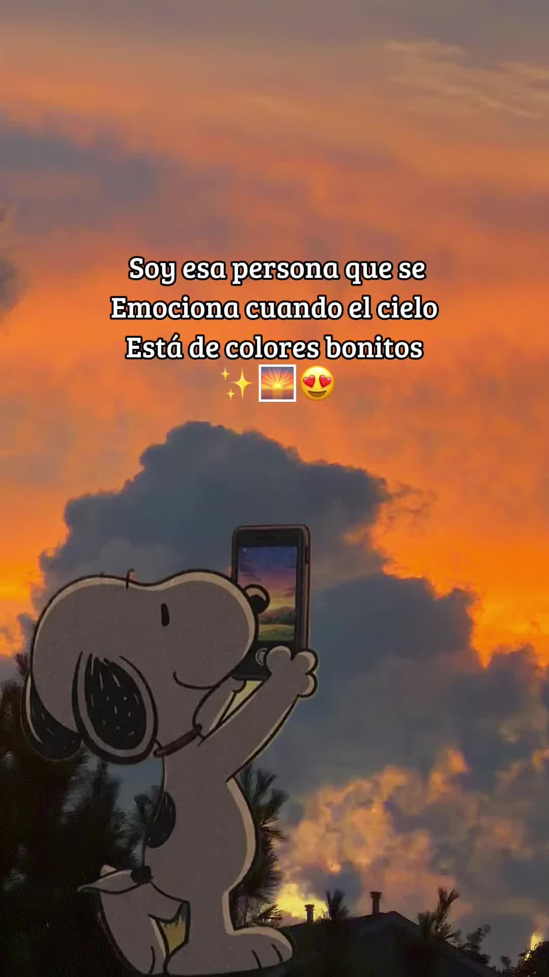 @๐๐๐๐ก๐๐ฆ๐ - ๐ด๐ฃ๐๐๐๐