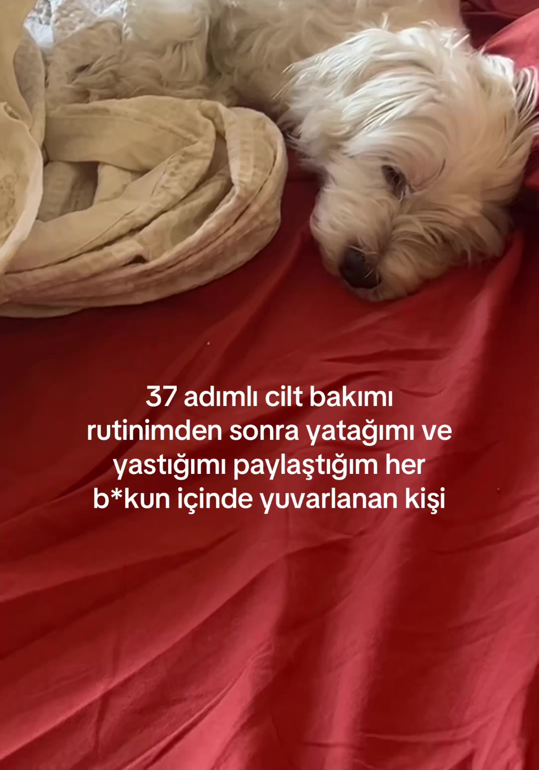 @theozlmm