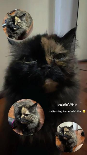 @Khun Nam