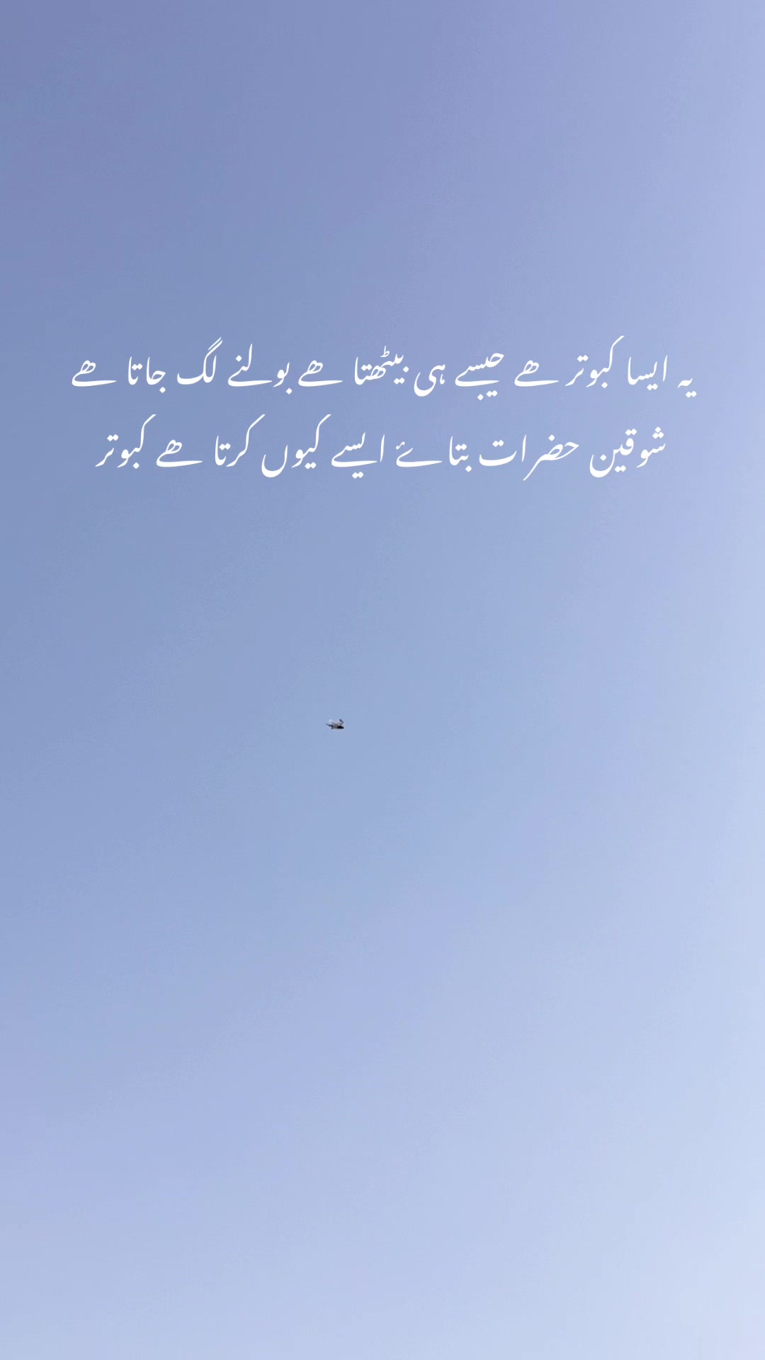 @hassnani68