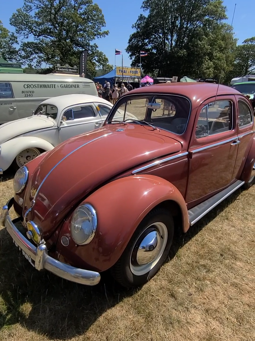 @BeetleguyRob.