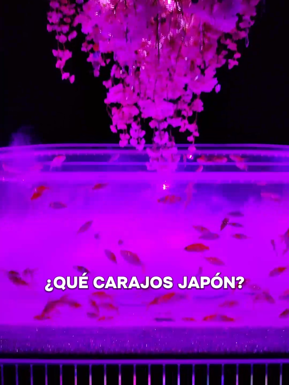@Silverbale