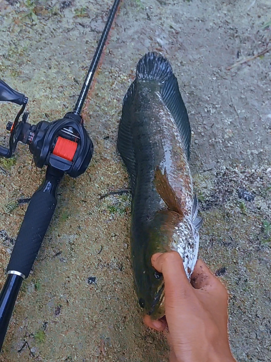 @San Fishing