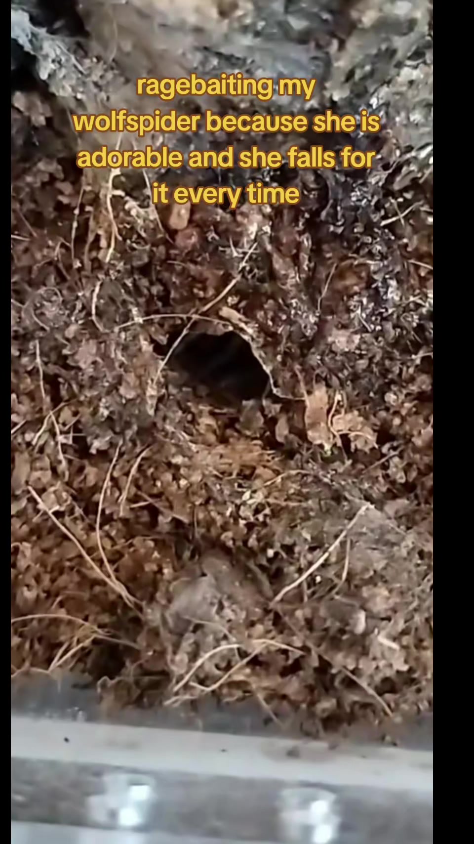 @Bestiesbeasties