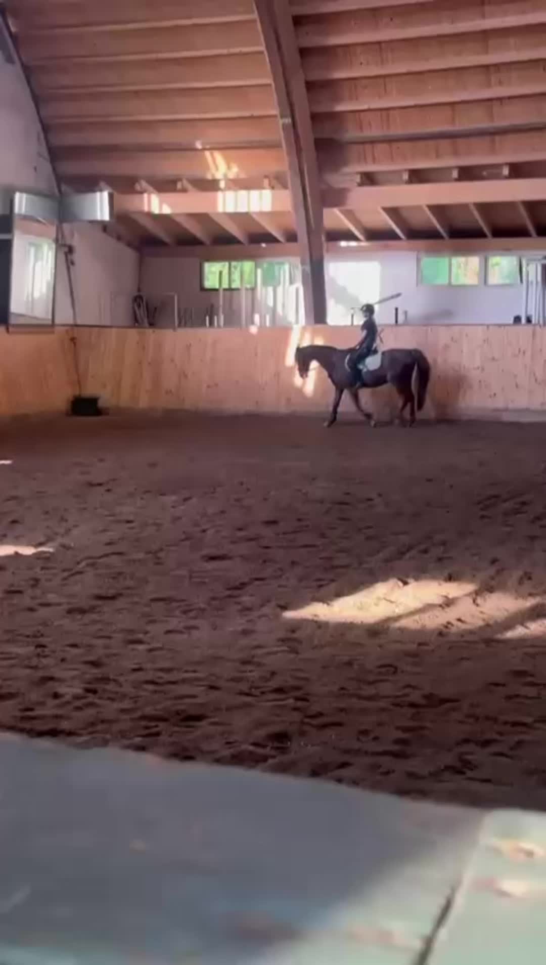 @🦄