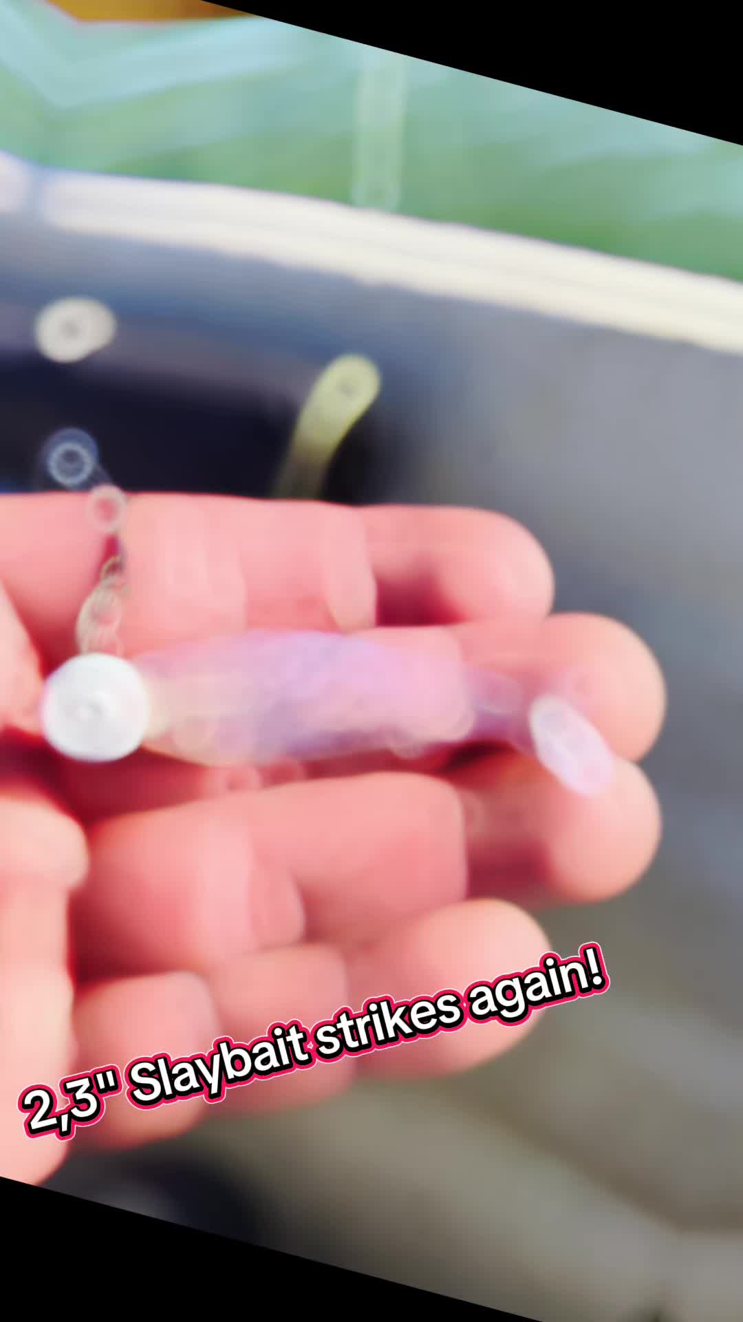 @Limestone Softbaits