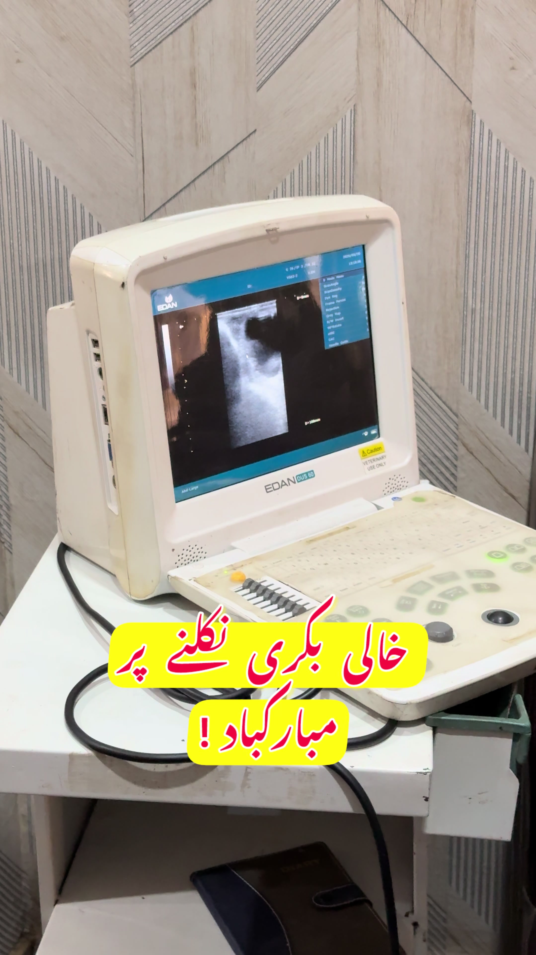 @vet.dr.mohsin4800