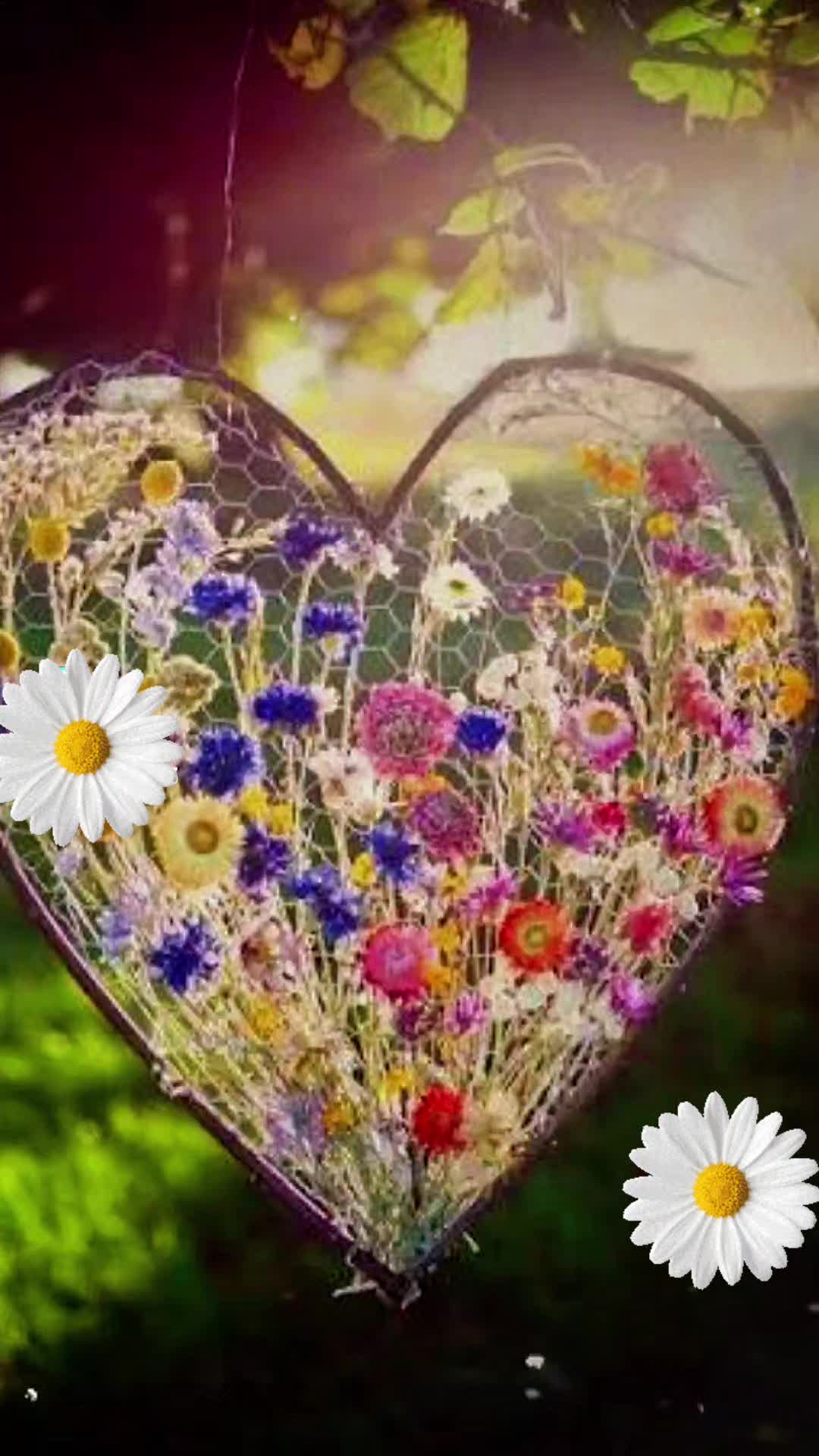 @positivity and love