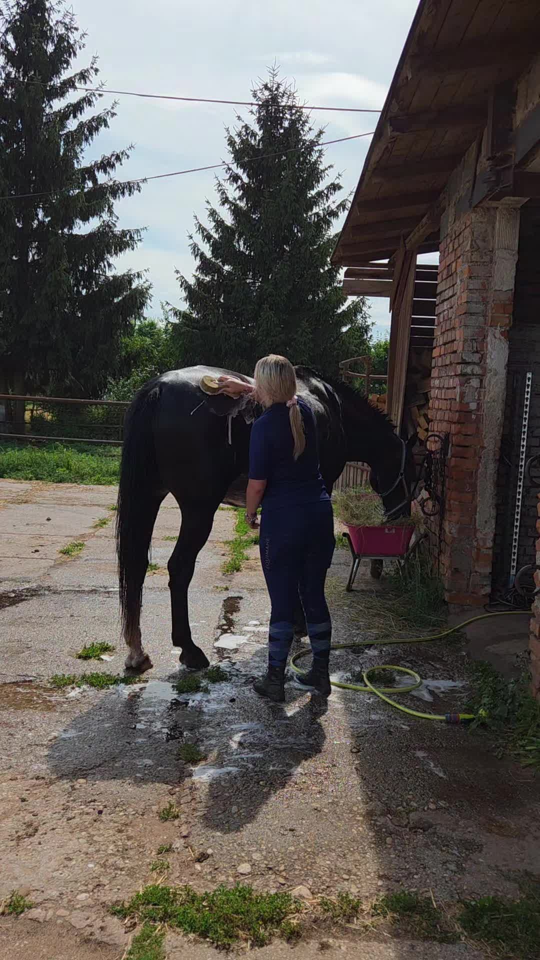 @Koňomama🩷🐴