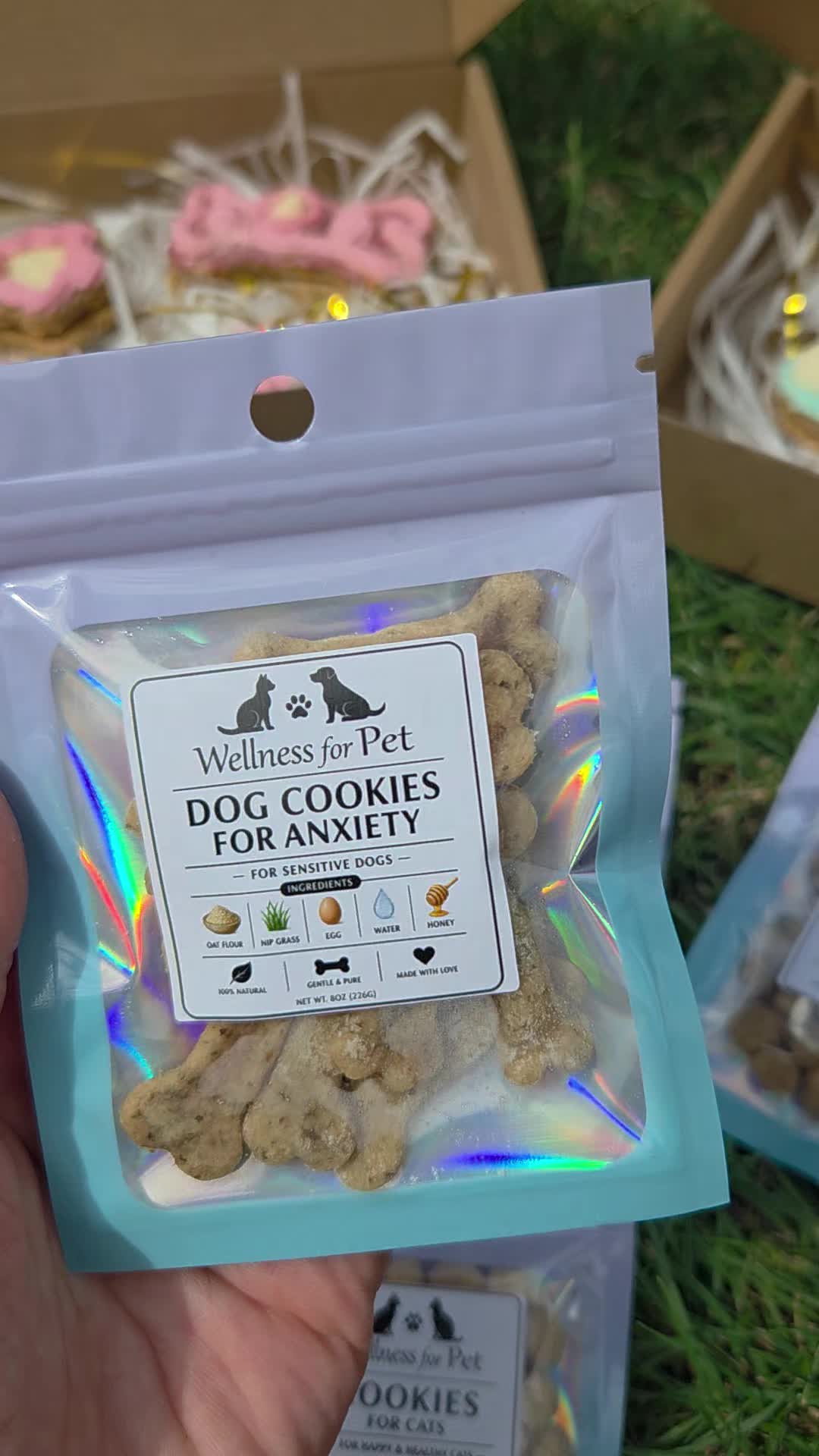@Wellness for Pet