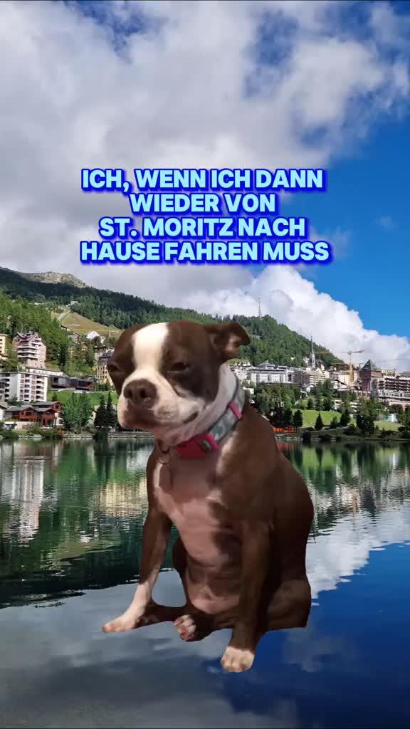 @🏔𝕯𝖊𝖛𝖎𝖑 𝕬𝖓𝖌𝖊𝖑🏔