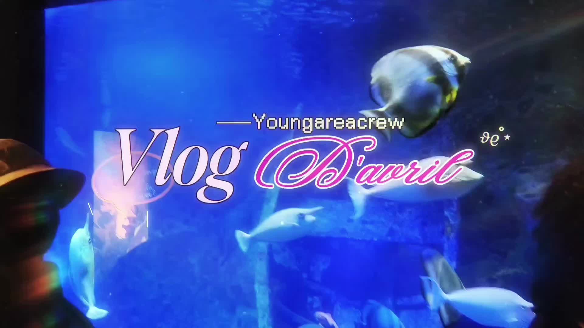 @𝖄𝖔𝖚𝖓𝖌 𝖆𝖗𝖊𝖆 𝖈𝖗𝖊𝖜