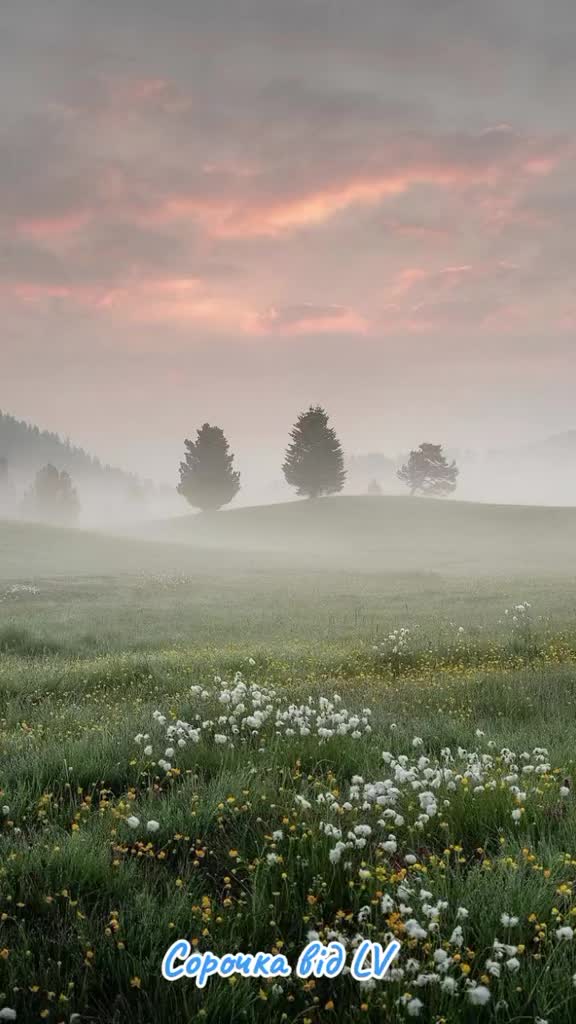 @Yuriy Mahey