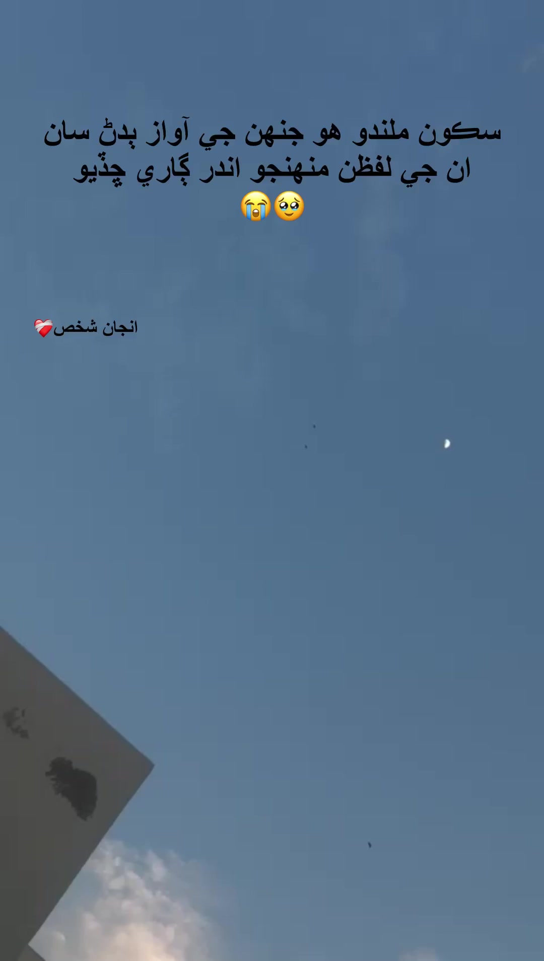 @انجاں شخص 🌘