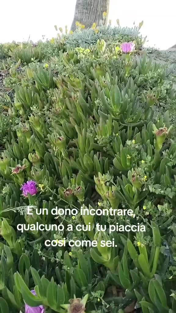 @Gianni