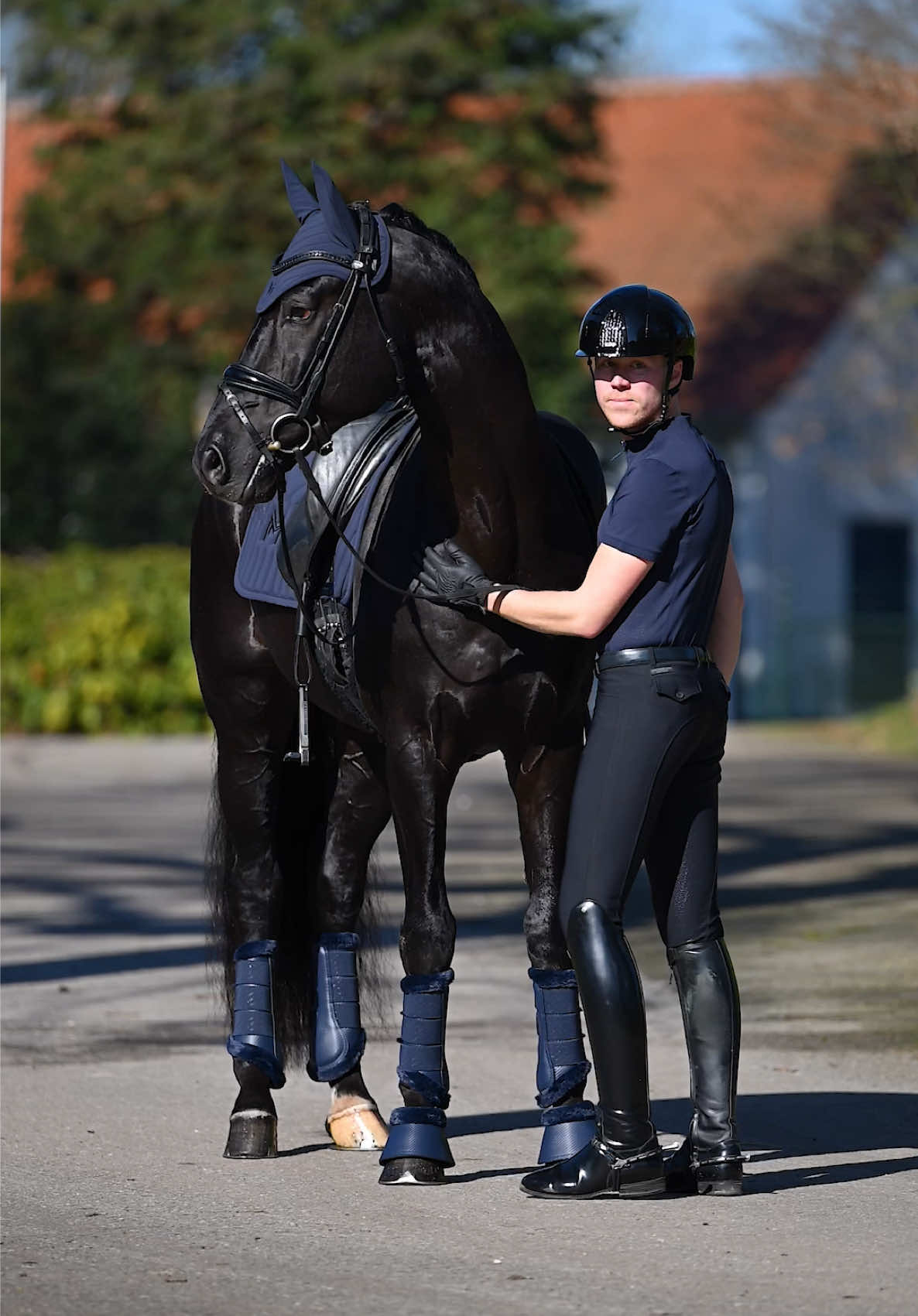 @Maximilian Equestrian