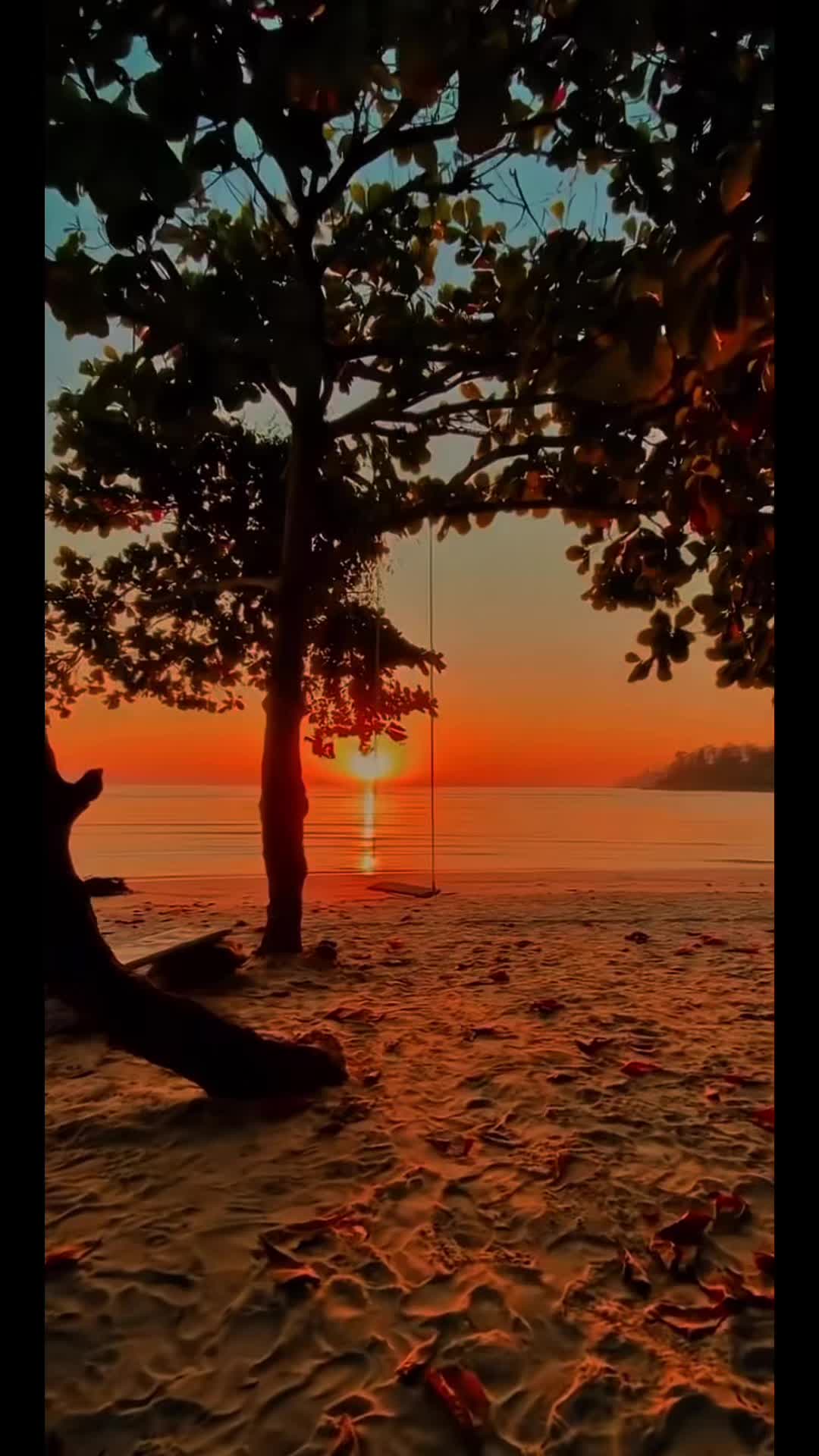 @atpet7