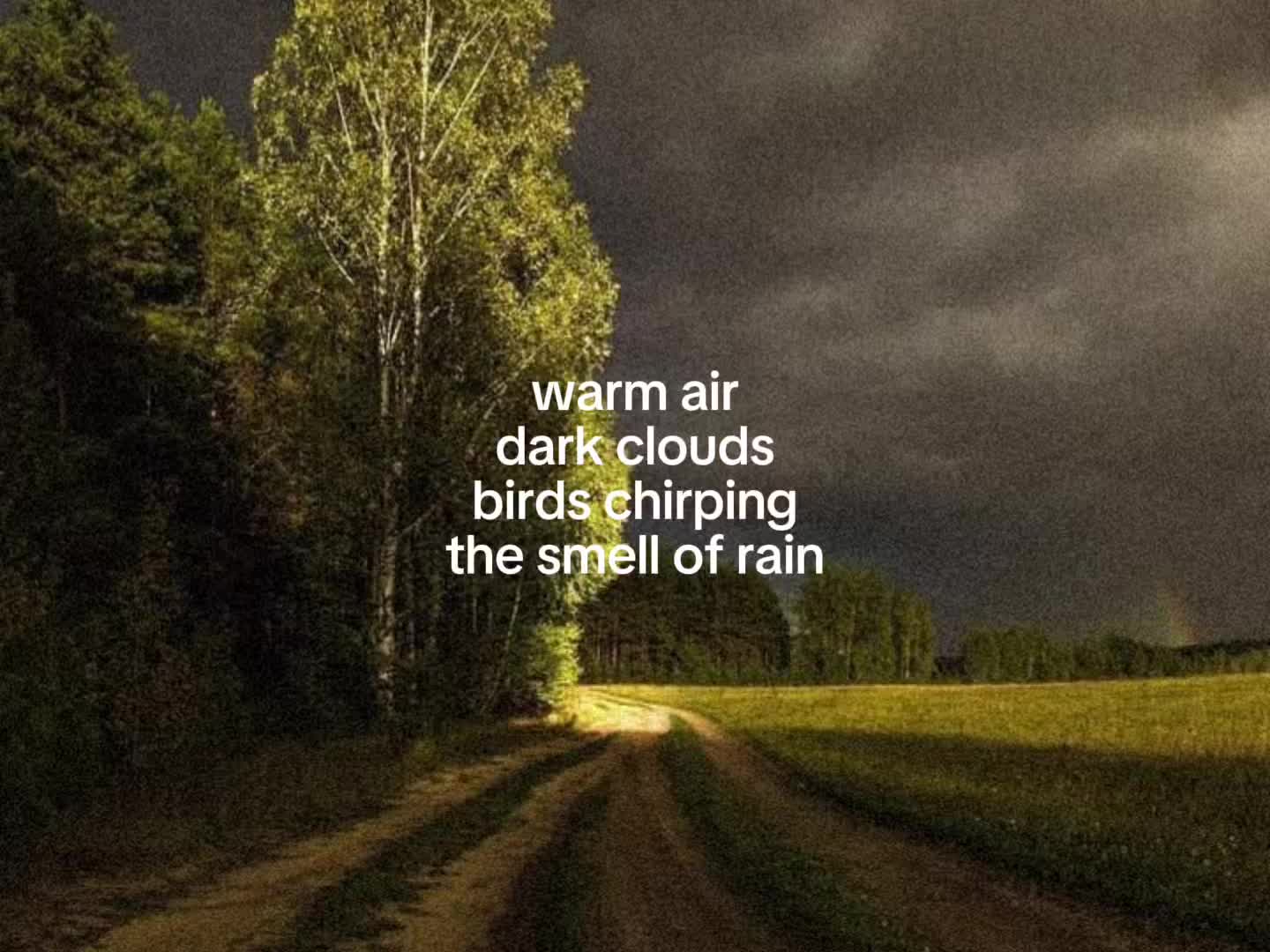 @feels🩶